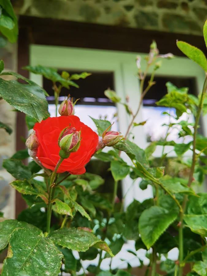 Ferienhaus Eifelrose Simmerath Εξωτερικό φωτογραφία