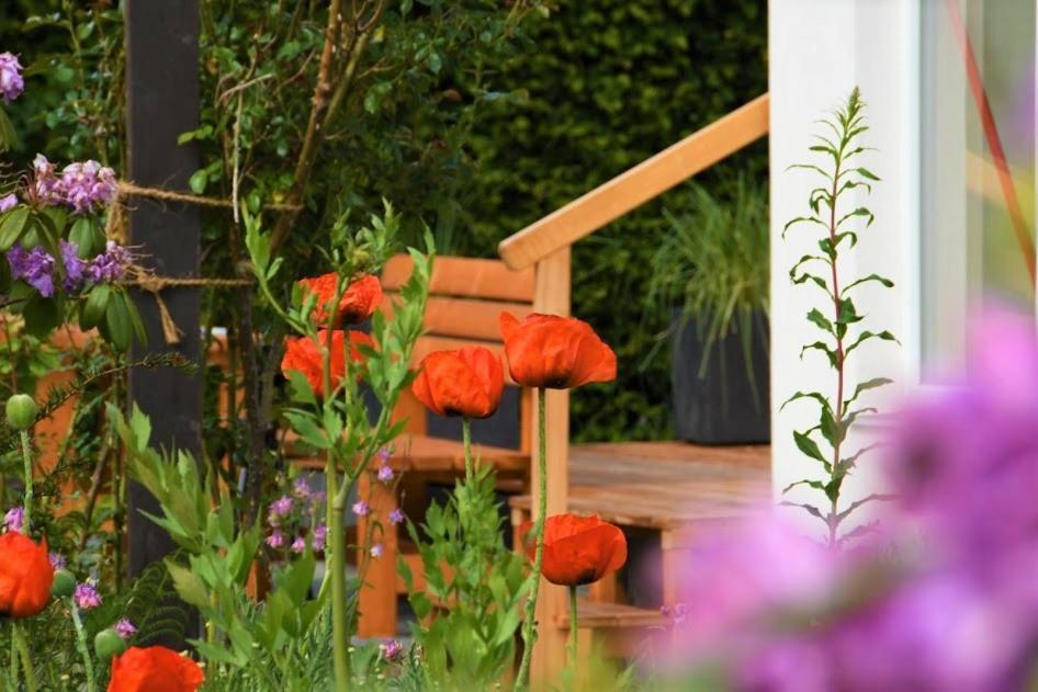 Ferienhaus Eifelrose Simmerath Εξωτερικό φωτογραφία