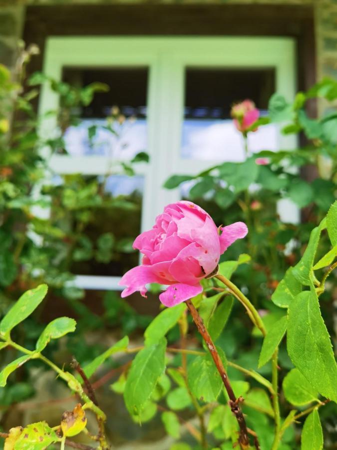 Ferienhaus Eifelrose Simmerath Εξωτερικό φωτογραφία